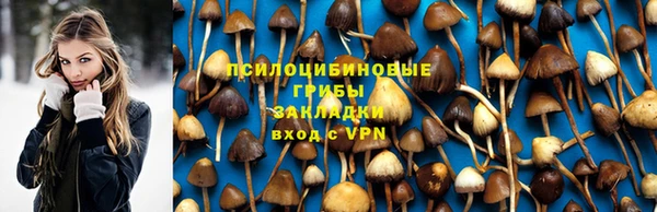 MDMA Ельня